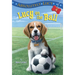 Absolutely Lucy #4: Lucy on the Ball