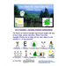 Ten Steps For Clear Eyesight Without Glasses: A Quick Course (Black & White Edition)