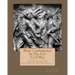 Black Confederates In The U.S. Civil War: A Compiled List of African - Americans Who Served The Confederacy