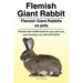 Flemish Giant Rabbit. Flemish Giant Rabbits as pets. Flemish Giant Rabbit book for pros and cons, care, housing, cost, diet and health.