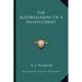 The Autobiography of a Fallen Christ