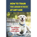 How To Train Your Labrador Retriever At Any Age: The Ultimate Guide For Every Owner: Clicker Training Lab Retriever Guide