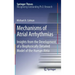 Mechanisms of Atrial Arrhythmias: Insights from the Development of a Biophysically Detailed Model of the Human Atria
