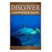 Hammerhead Shark - Discover: Early reader's wildlife photography book