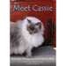 Meet Cassie