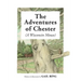 The Adventures of Chester (A Wisconsin Mouse)