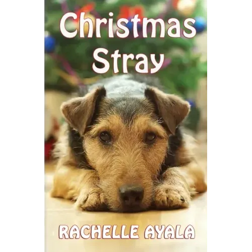 Christmas Stray
