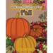 Large Print Adult Coloring Book of Fall: Simple and Easy Autumn Coloring Book for Adults with Fall Inspired Scenes and Designs for Stress Relief and R