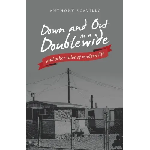 Down and out in a Doublewide and Other Tales of Modern Life