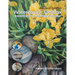 Watercolour Toolbox (Revised Edition): Essentials for Painting Success