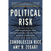 Political Risk: How Businesses and Organizations Can Anticipate Global Insecurity