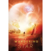 Wandering Star: A Reunification Novel