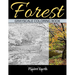 Forest Grayscale Coloring Book: Adult Coloring Book. Beautiful Images of the Forest.