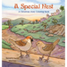 A Special Nest, A Christmas Story Coloring Book