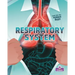 Respiratory System