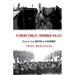 Flaming Forest, Wounded Valley Stories from Bastar and Kashmir