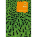Ants: The Ultimate Social Insects