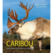 Caribou: Wind Walkers of the Northern Wilderness