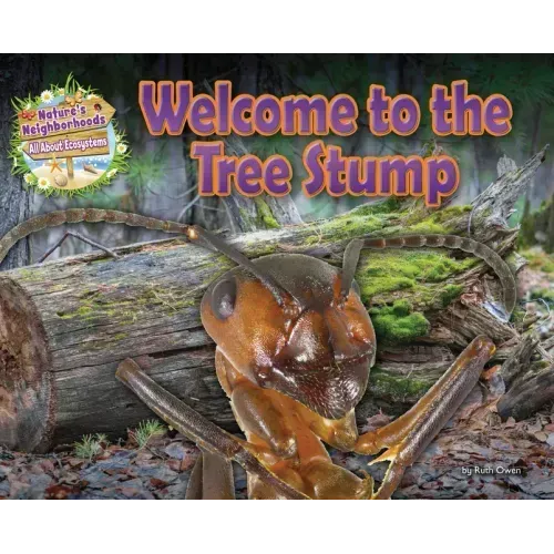 Welcome to the Tree Stump