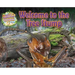 Welcome to the Tree Stump
