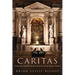 Caritas: Tintoretto and the Scuola Grande di San Rocco, Venice