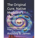 The Original Cure, Native Medicine's Hidden Revolution: Tribal Wisdom's Enduring Bridge Between Past Ceremonies and Future