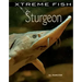 Sturgeon
