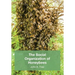 The Social Organisation of Honeybees