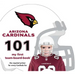 Arizona Cardinals 101-Board