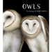 Owls: The Paintings of Jeannine Chappell