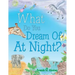 What Do You Dream of at Night?