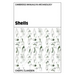 Shells