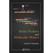 Motor Proteins and Molecular Motors