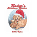 Radar's Christmas Mission