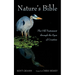 Nature's Bible: The Old Testament Through the Eyes of Creation