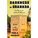 Darkness in Granada: Crime Thriller set in Spain