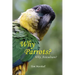 Why Parrots?: Why Aviculture?