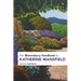 The Bloomsbury Handbook to Katherine Mansfield
