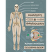 Anatomy & Physiology: Human Anatomy Coloring Book: Human Body Coloring Book, The Anatomy Of Coloring Book.