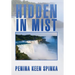 Hidden in Mist