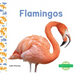 Flamingos
