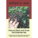 How-to Plant and Grow the Elderberries: An Easy Guide to Planting these Fast Growing Berry Shrubs for Healthy Fruit and More