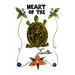 Heart of the Turtle: A Poetry Anthology