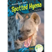 Spotted Hyena