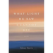 What Light He Saw I Cannot Say: Poems