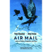 Air Mail: Letters of Politics, Pandemics, and Place