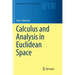 Calculus and Analysis in Euclidean Space