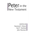 Peter in the New Testament