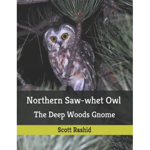 Northern Saw-whet Owl: The Deep Woods Gnome