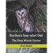 Northern Saw-whet Owl: The Deep Woods Gnome